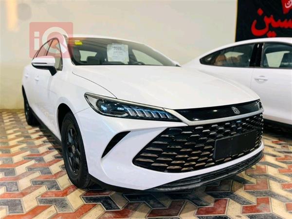بی وای دی Qin Plus 2025  بۆ فرۆشتن لە عێراق - نەجەف